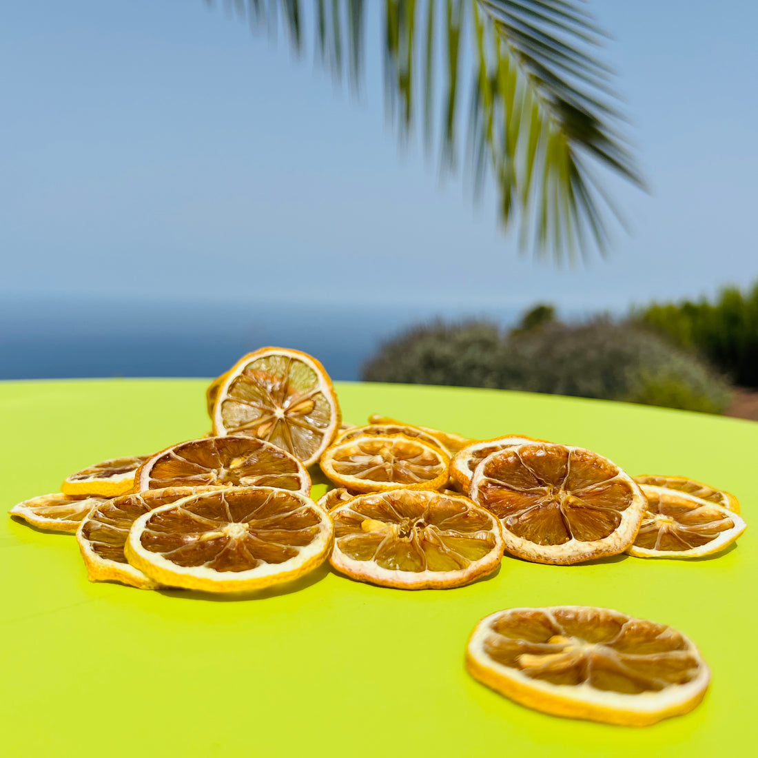Limones deshidratados para cóctel