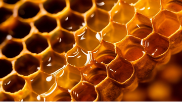 ¿Qué es la miel cruda? Lo que realmente significa y por qué no todas las mieles lo indican