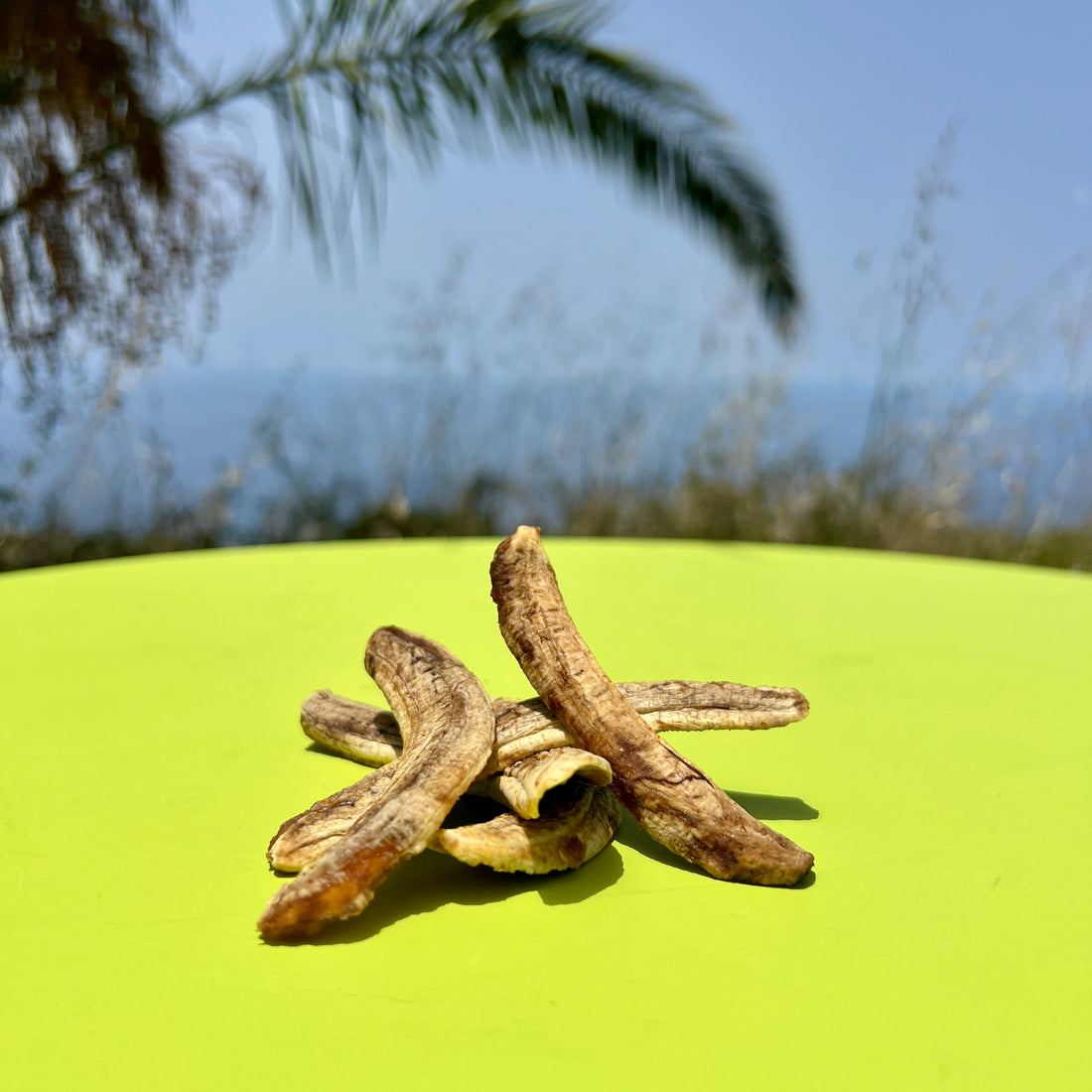 Plátanos deshidratados